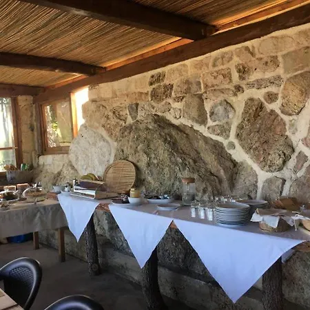 Fontenuova